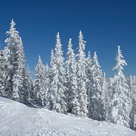 Mountainside Cozy Walk To Gondola Hot Tub Condo Steamboat Springs Exterior foto