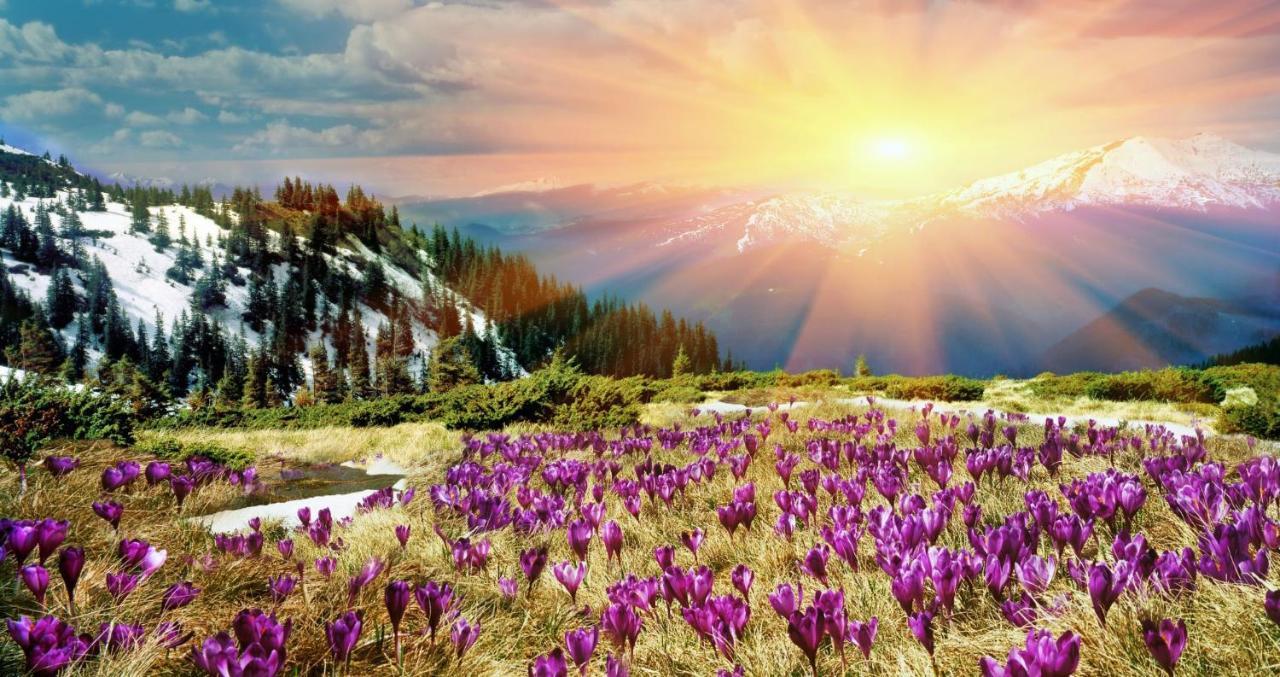 Mountainside Cozy Walk To Gondola Hot Tub Appartement