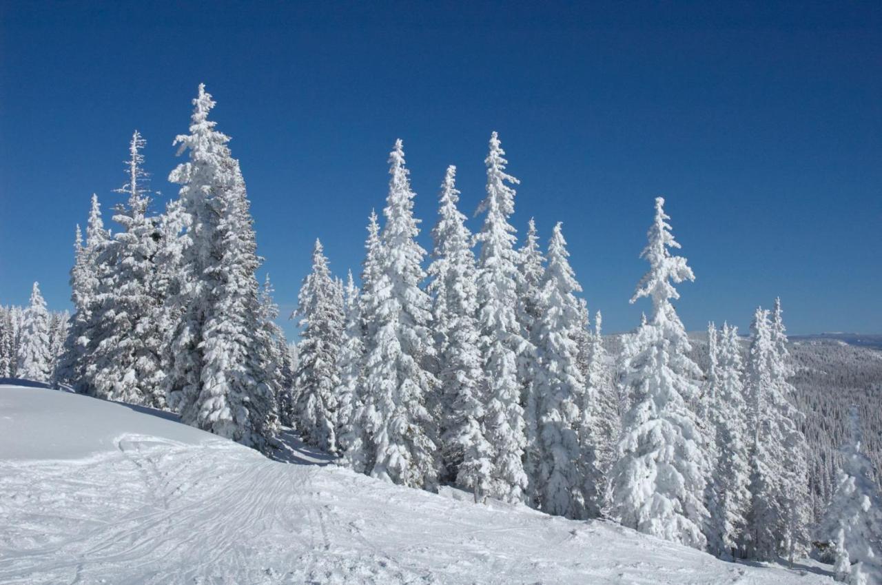 Mountainside Cozy Walk To Gondola Hot Tub Appartement Steamboat Springs