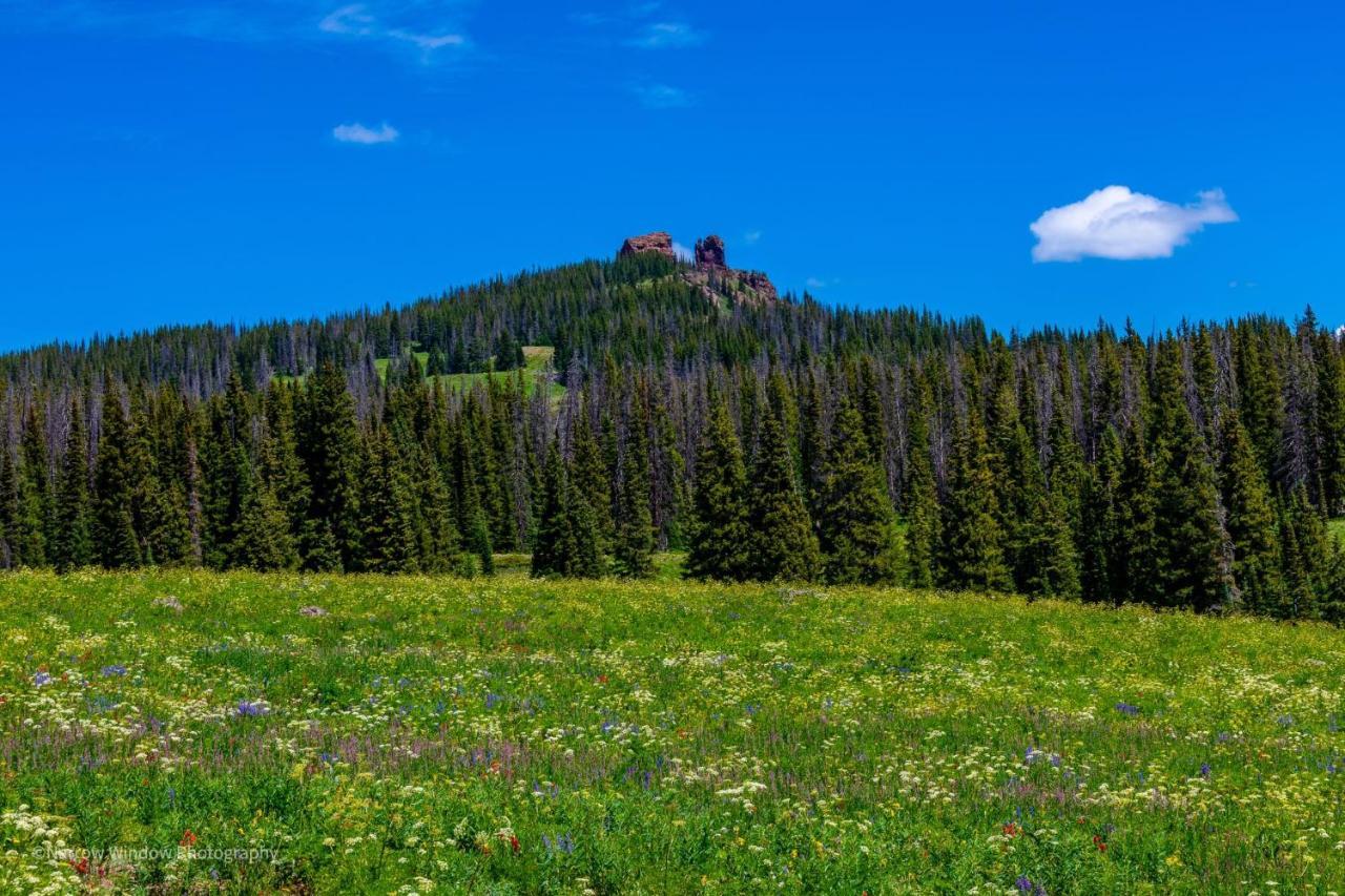 Mountainside Cozy Walk To Gondola Hot Tub Steamboat Springs
