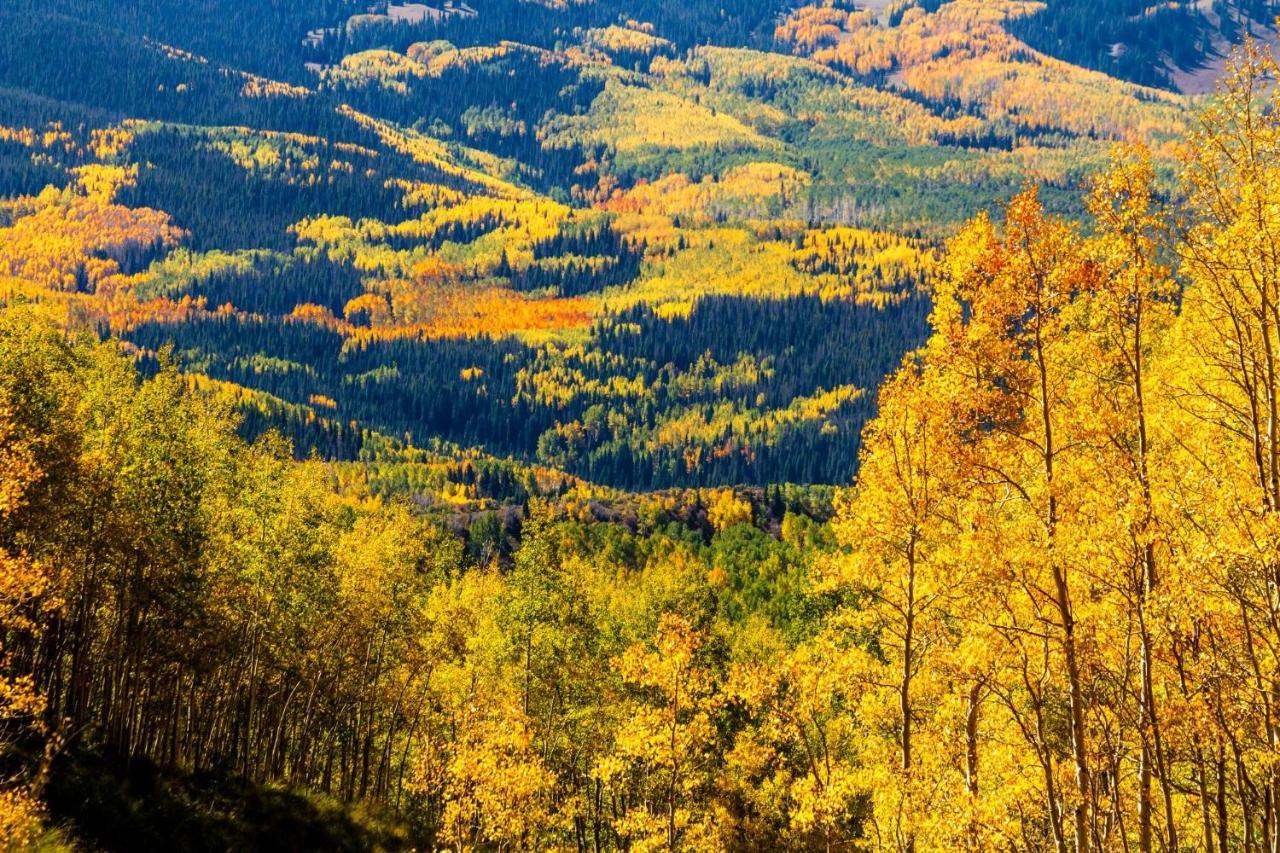 Mountainside Cozy Walk To Gondola Hot Tub *